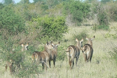 0216-Reis Zuid-Afrika2007